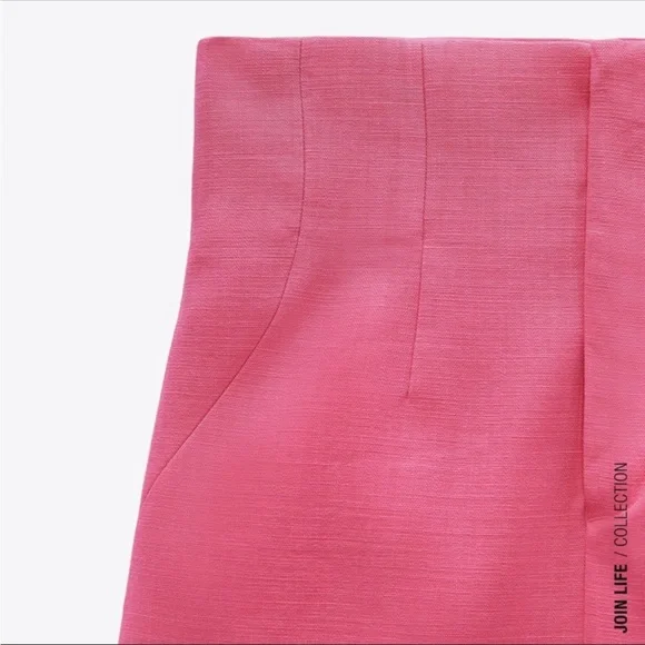 Zara Mini Skirt with Darts - Picture 8 of 8